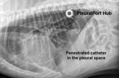 AdVetis Norfolk Pleural Port